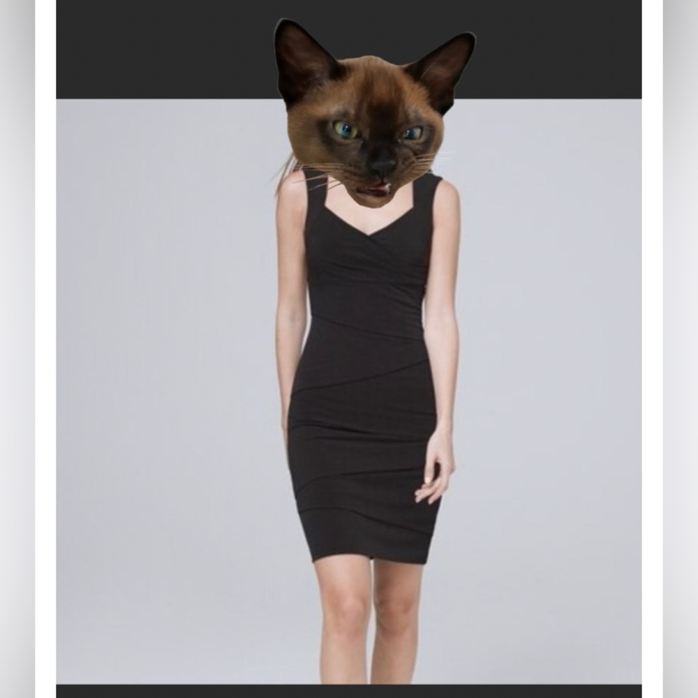 Excellent Condition Little Black Bodycon Dress For Parties Or Business